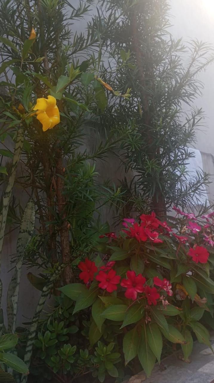 Casa Bem Te Vi *